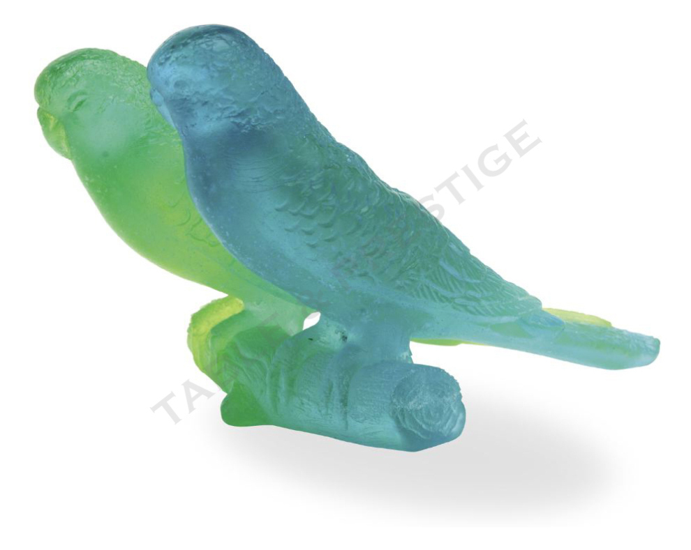 Blue budgerigars couple - Daum